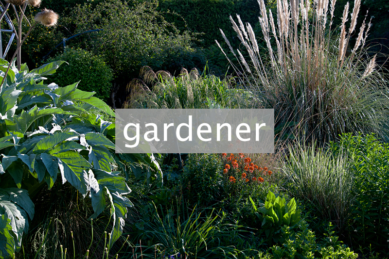 gardener