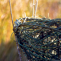 spindle basket